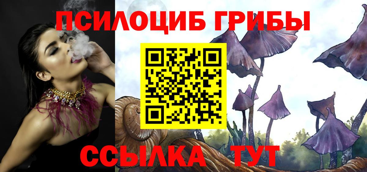 Галлюциногенные грибы мицелий  Вход с VPN  купить наркотики сайты  Троицк 